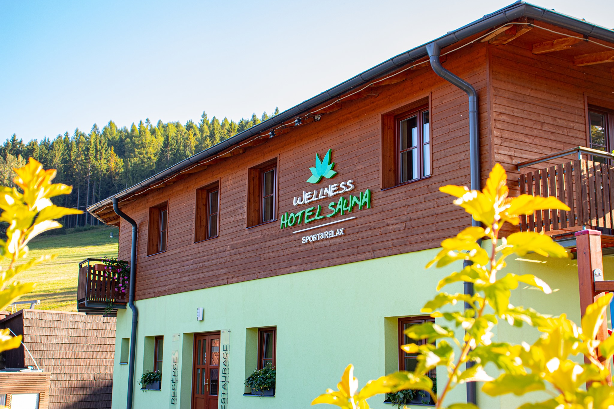 wellness-hotel-saunajpg2