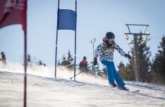 Slalomová závodní trať