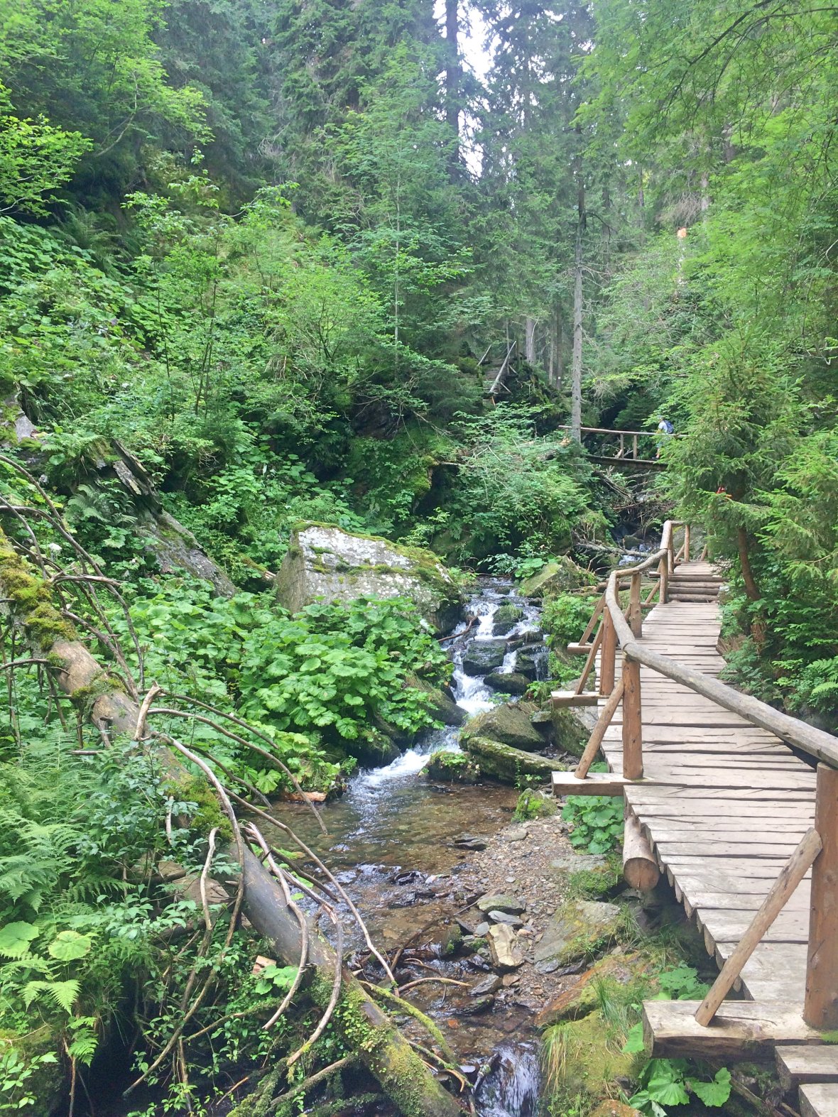 Naučná stezka Bílá Opava