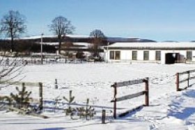 Jezdecká škola Amír